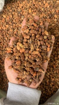 spice_25520_370ee3ae_1.jpg