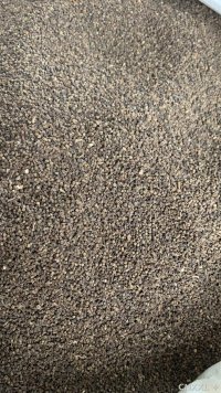 spice_25793_40c6a63a_1.jpg