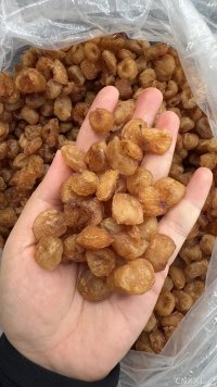 spice_27413_4f84625e_1.jpg