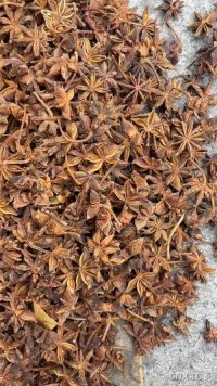 spice_44426_cfa0fa68_1.jpg