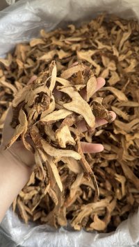 spice_592103_2cbd3a53_1.jpg