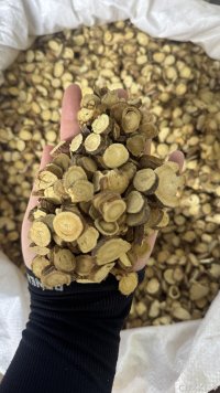 spice_652056_e2221272_1.jpg