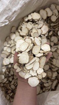 spice_787085_1e54adc9_1.jpg