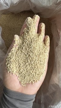 spice_8350_cf7df75a_1.jpg