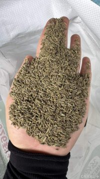 spice_8391_8fe69d1e_1.jpg