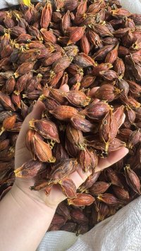 spice_857213_2bf09098_1.jpg