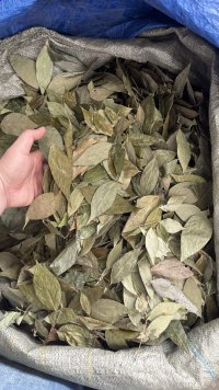 spice_8806_ab9630e0_1.jpg