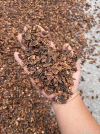 spice_8879_a9b584fd_1.jpg