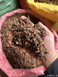 spice_8937_9e703e1f_1.jpg