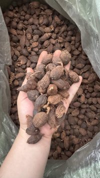 spice_25463_fe1f7fff_1.jpg