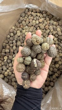 spice_2707919_670798ce_1.jpg