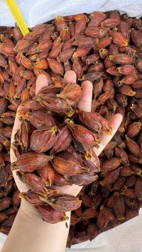 spice_3088396_903b6a9e_1.jpg