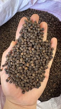 spice_4689461_9b8d684e_1.jpg