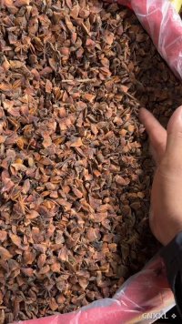 spice_5465074_0f31fd34_1.jpg