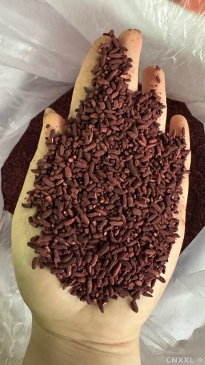 spice_125_0bcb5326_1.jpg
