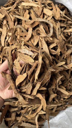 spice_68_cf1aa66e_1.jpg