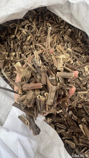 spice_98_2a205305_1.jpg