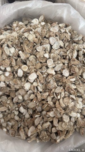 spice_10114_f5fbde9a_1.jpg