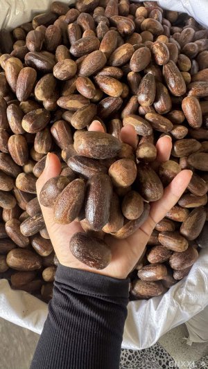 spice_1062667_b63f9545_1.jpg