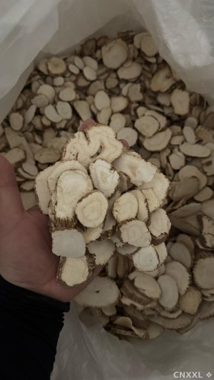 spice_10720_46f20940_1.jpg