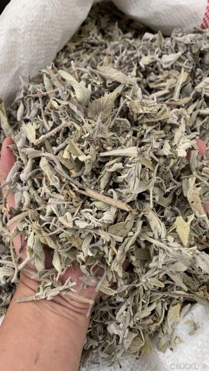 spice_10752_060b460f_1.jpg