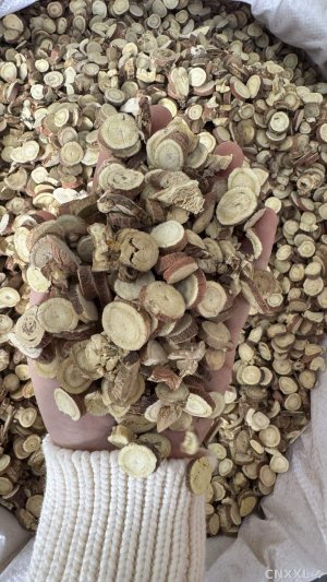 spice_11238_516c67c2_1.jpg