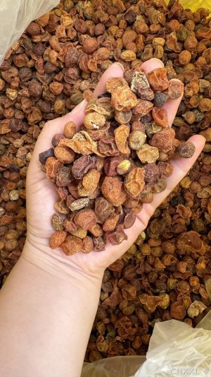 spice_11286_476c23ec_1.jpg