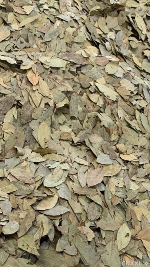 spice_1147266_cc82d23a_1.jpg