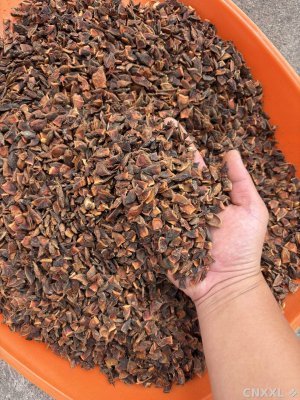 spice_1152283_ecd64ee6_1.jpg