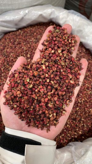 spice_11898_6259ce0d_1.jpg