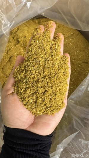 spice_12368_b6dbcebf_1.jpg