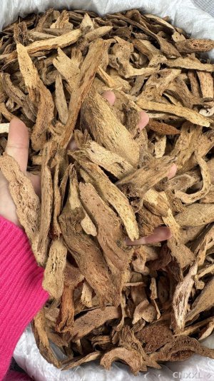 spice_12441_01ad17cc_1.jpg