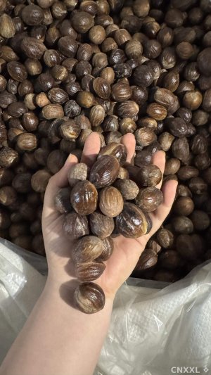 spice_12692_e1ee66f1_1.jpg