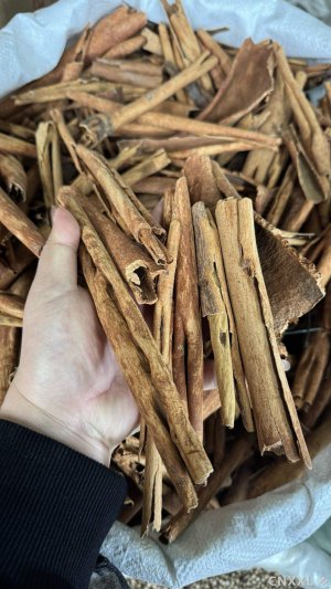 spice_12994_9172fa97_1.jpg