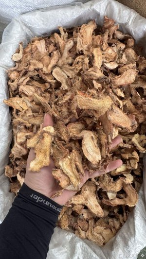 spice_13078_6c7f916e_1.jpg