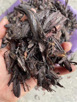 spice_13171_35dc5f76_1.jpg