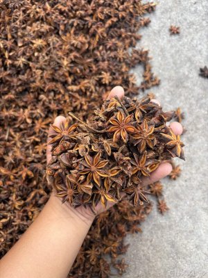 spice_1347114_45fa64d7_1.jpg
