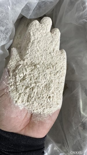 spice_13548_87297f95_1.jpg