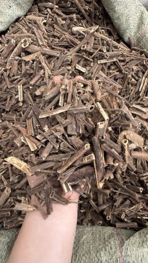 spice_14830_b7478b6b_1.jpg