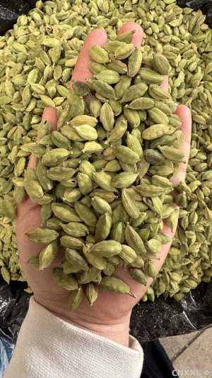 spice_14832_8f2e0c5a_1.jpg