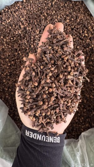spice_14863_2f8e7b1b_1.jpg