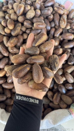 spice_14864_92c8ebe8_1.jpg