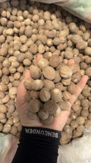 spice_16037_1abd00bb_1.jpg