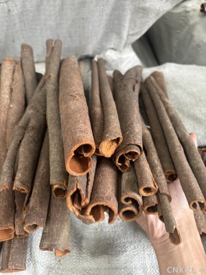 spice_1684614_1c1d6d05_1.jpg