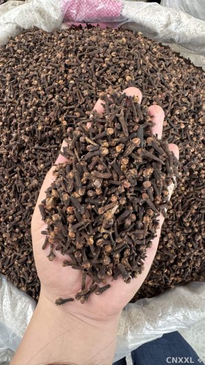 spice_1694695_6d1fd1df_1.jpg