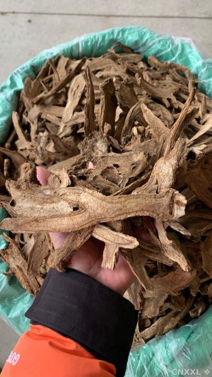 spice_17003_85830d8c_1.jpg