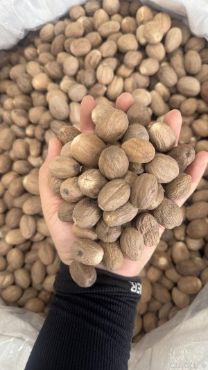 spice_18820_0550e3b3_1.jpg