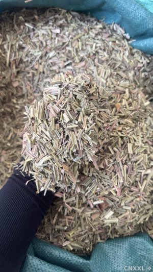 spice_18836_37d6be2f_1.jpg