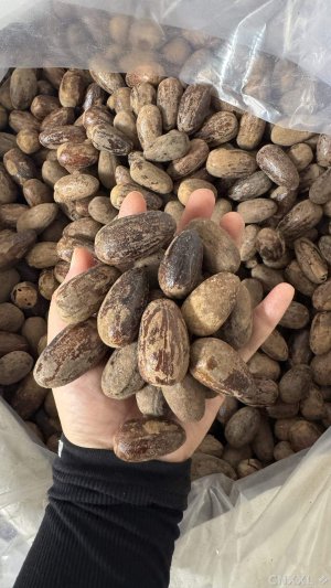 spice_1891582_4bda199c_1.jpg