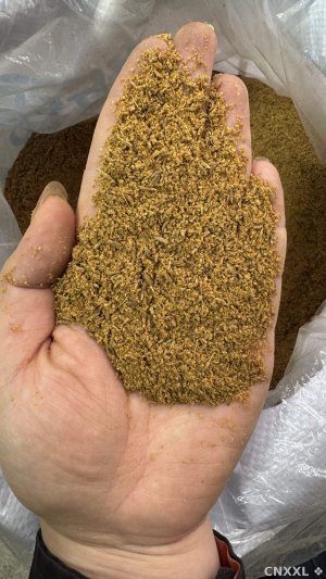 spice_19068_8acf8efb_1.jpg